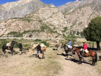 /album/fotogaleria-fotogaleria/a2014-11-15-09-40-40-jpg/